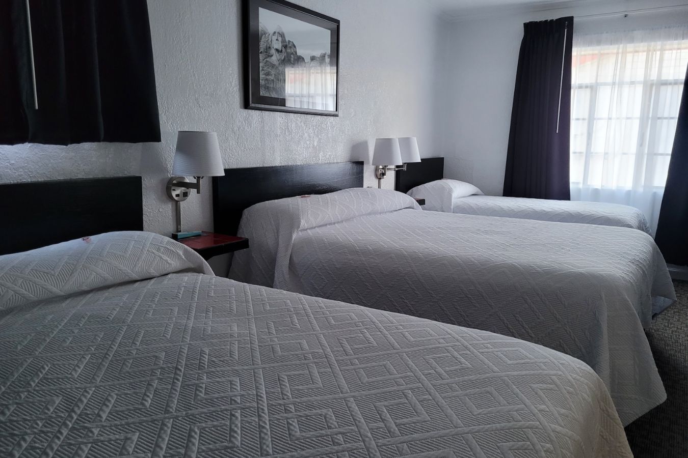 Large Room with 3 Beds - Non-Smoking