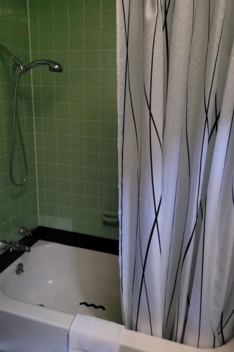 2_double_shower_bath